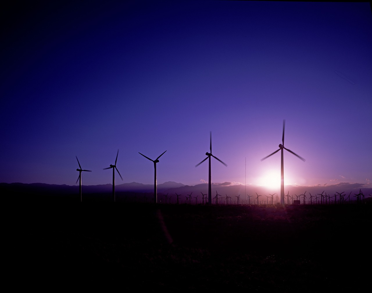 A wind farm with the sun going down in the distance